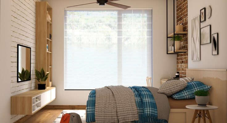 bedroom, mattress, bag, chair, desk, plant, ceiling fans, brown plant, brown desk, brown bedroom, brown plants, bedroom, nature, bedroom, mattress, mattress, mattress, mattress, mattress, ceiling fans, ceiling fans
