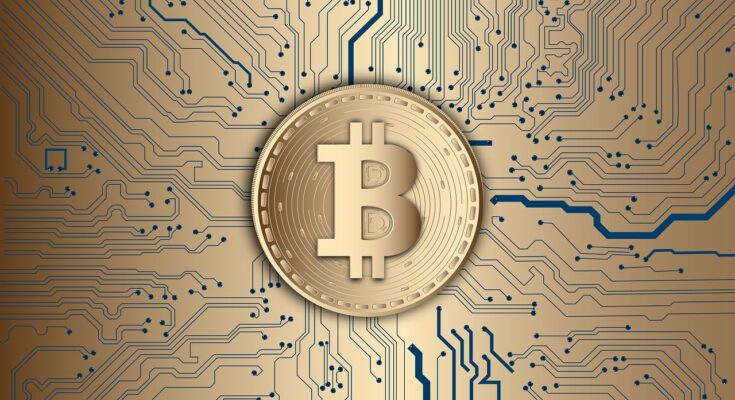 bitcoin, cryptocurrency, crypto, blockchain, currency, money, digital currency, bitcoin, bitcoin, bitcoin, bitcoin, bitcoin, cryptocurrency, crypto, crypto, crypto, blockchain, money, money