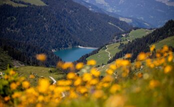 lake, valley, mountains, dam, reservoir, scenery, scenic, countryside, landscape, nature, beaufortain, savoie, france, valley, valley, valley, dam, dam, dam, dam, dam, reservoir, france, france, france, france