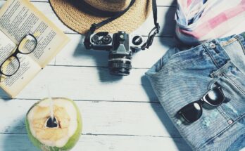 summer, travel, vacation, nature, holiday, trip, journey, leisure, still life, flat lay