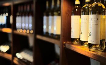 wine rack, wine storage, wine tasting, white wine, enjoyment, drink, wine cellar, shelf, grapes, wine bottles, wine, glass bottle, bottleneck, liquid, wine rack, wine storage, wine tasting, wine tasting, wine tasting, wine tasting, wine tasting, white wine, wine cellar, wine cellar, wine cellar, wine cellar, wine