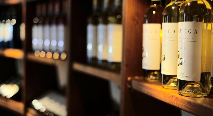 wine rack, wine storage, wine tasting, white wine, enjoyment, drink, wine cellar, shelf, grapes, wine bottles, wine, glass bottle, bottleneck, liquid, wine rack, wine storage, wine tasting, wine tasting, wine tasting, wine tasting, wine tasting, white wine, wine cellar, wine cellar, wine cellar, wine cellar, wine