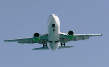 fly, jet aircraft, charter flights, landing, aviation, charter flights, charter flights, charter flights, charter flights, charter flights